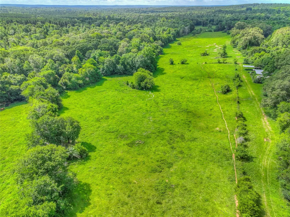 County Road 1750 Grapeland, TX 75844