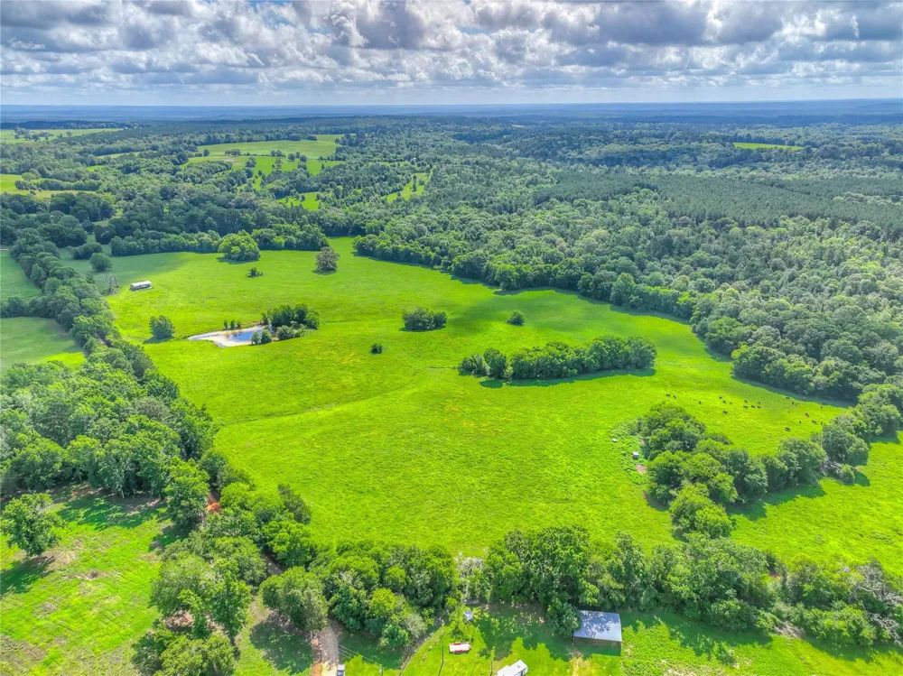 County Road 1750 Grapeland, TX 75844