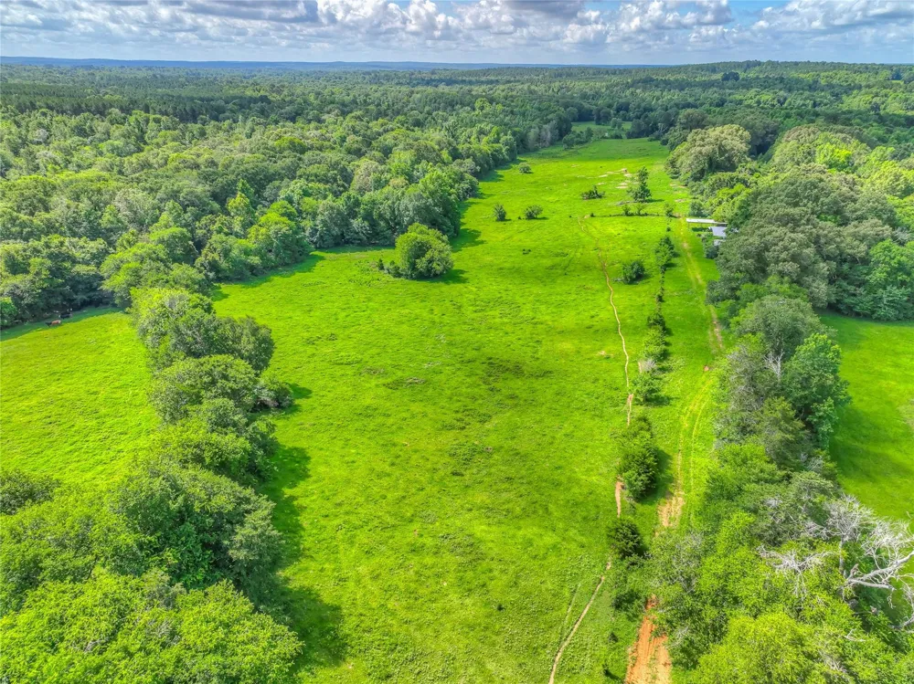 County Road 1750 Grapeland, TX 75844