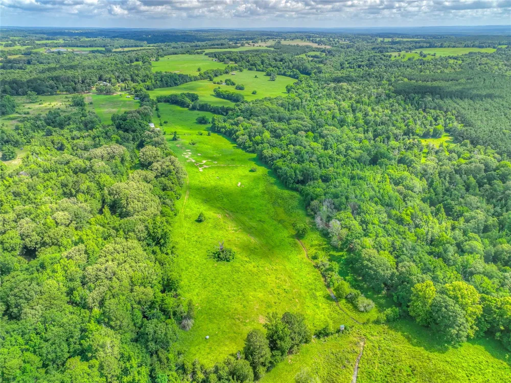 County Road 1750 Grapeland, TX 75844