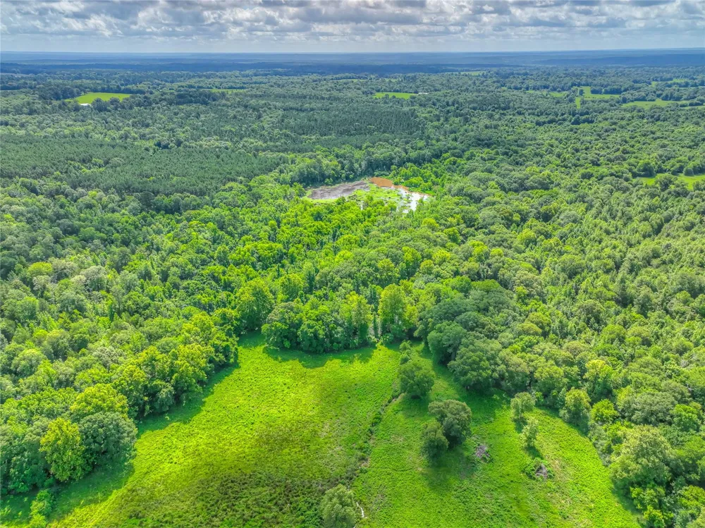 County Road 1750 Grapeland, TX 75844