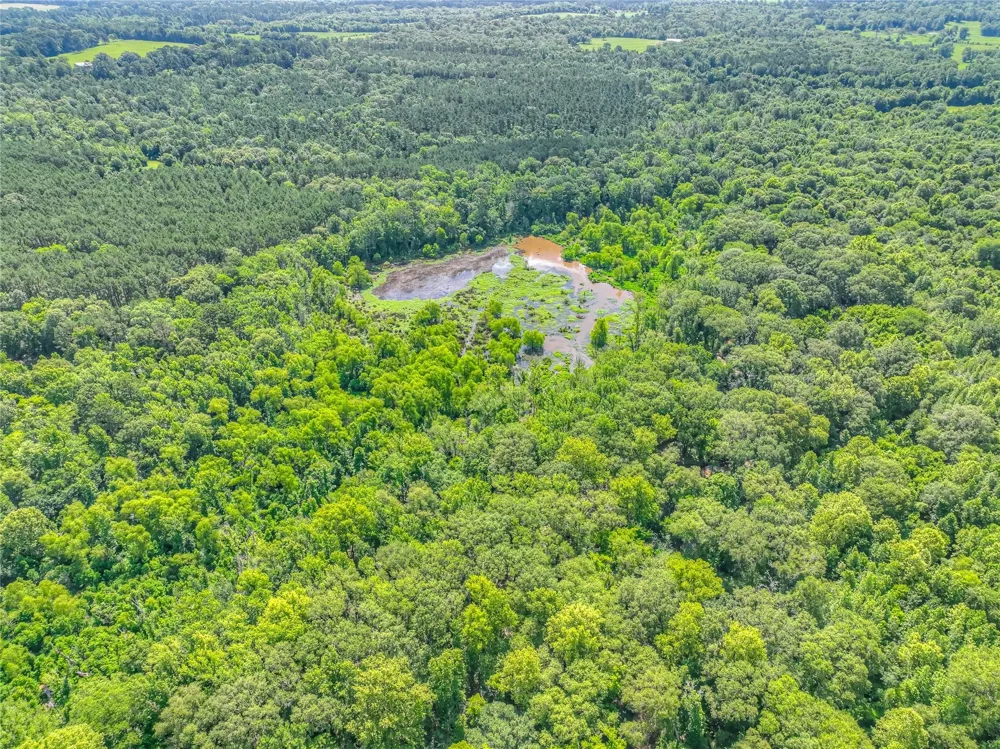 County Road 1750 Grapeland, TX 75844