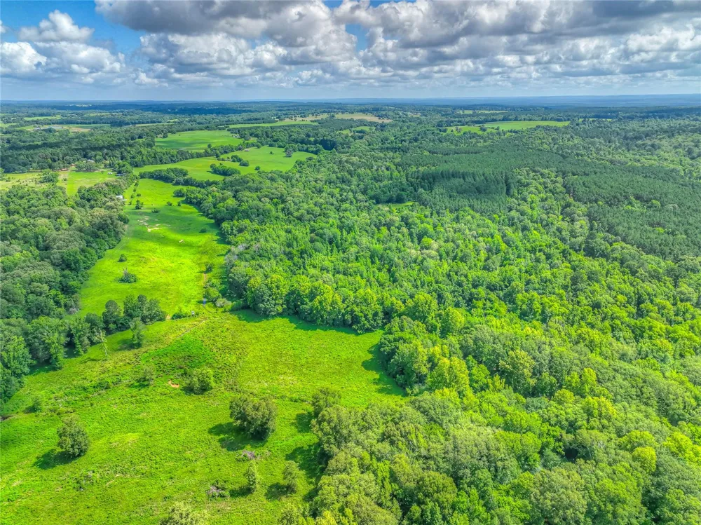 County Road 1750 Grapeland, TX 75844