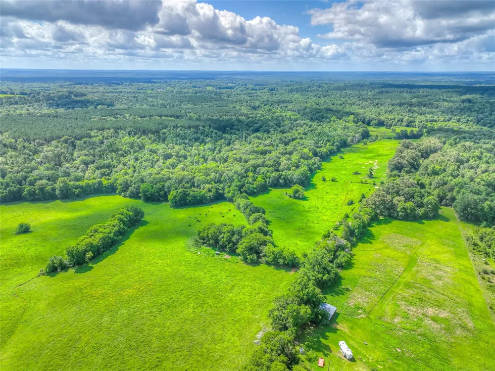 County Road 1750 Grapeland, TX 75844