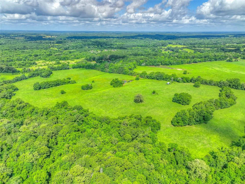County Road 1750 Grapeland, TX 75844
