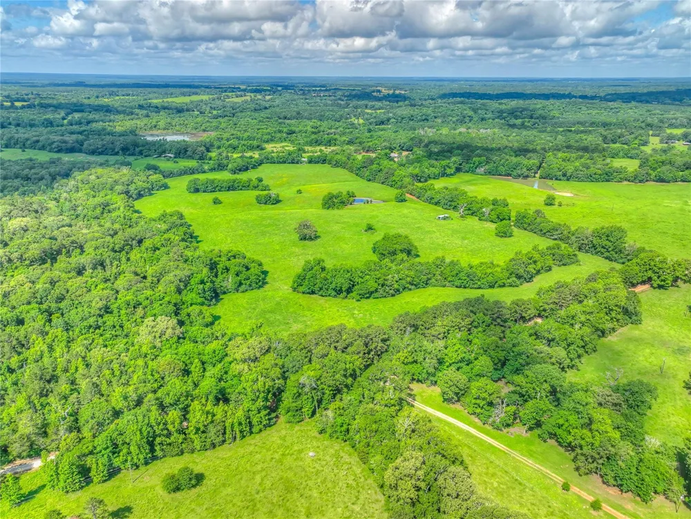 County Road 1750 Grapeland, TX 75844