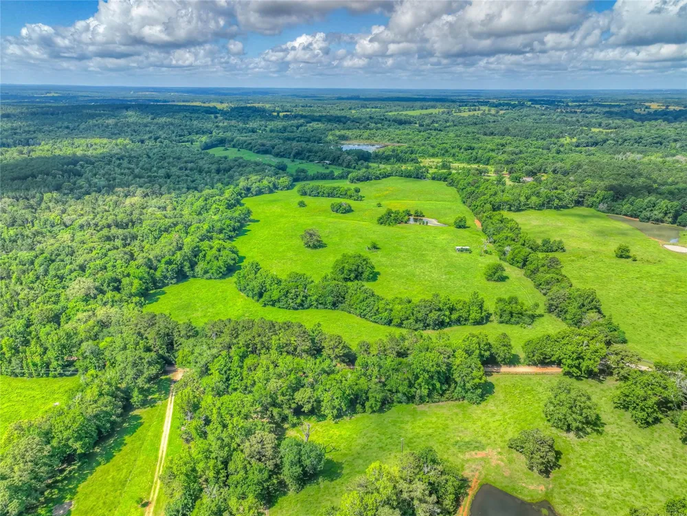 County Road 1750 Grapeland, TX 75844