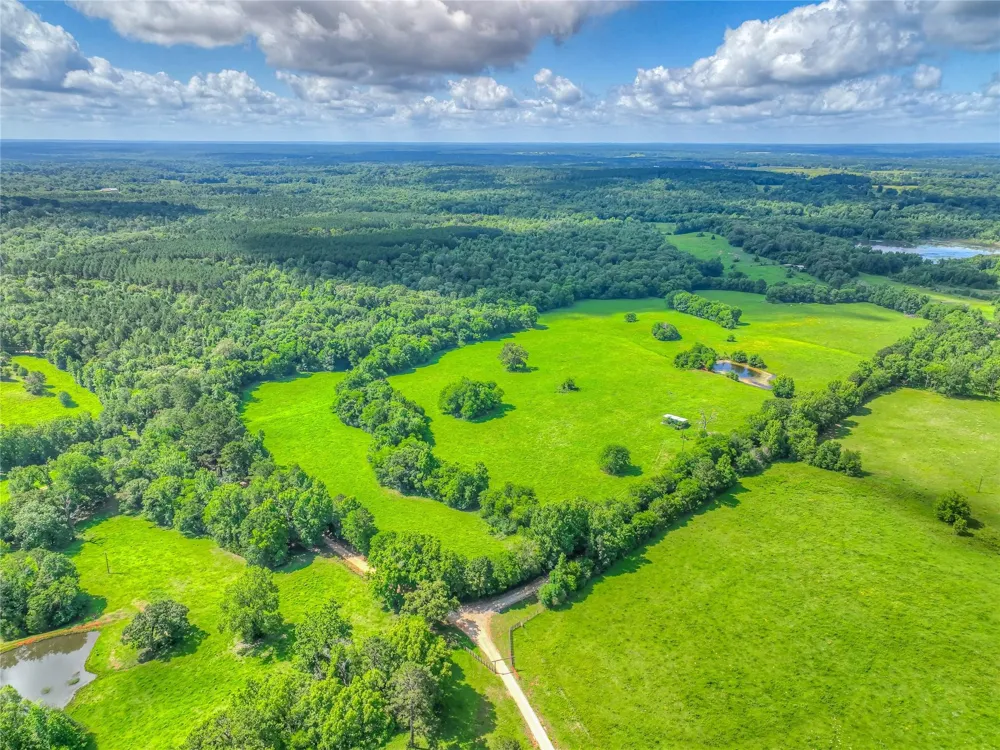 County Road 1750 Grapeland, TX 75844