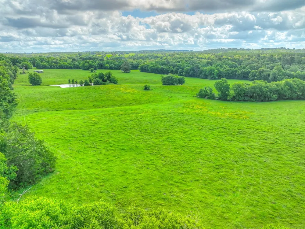 County Road 1750 Grapeland, TX 75844