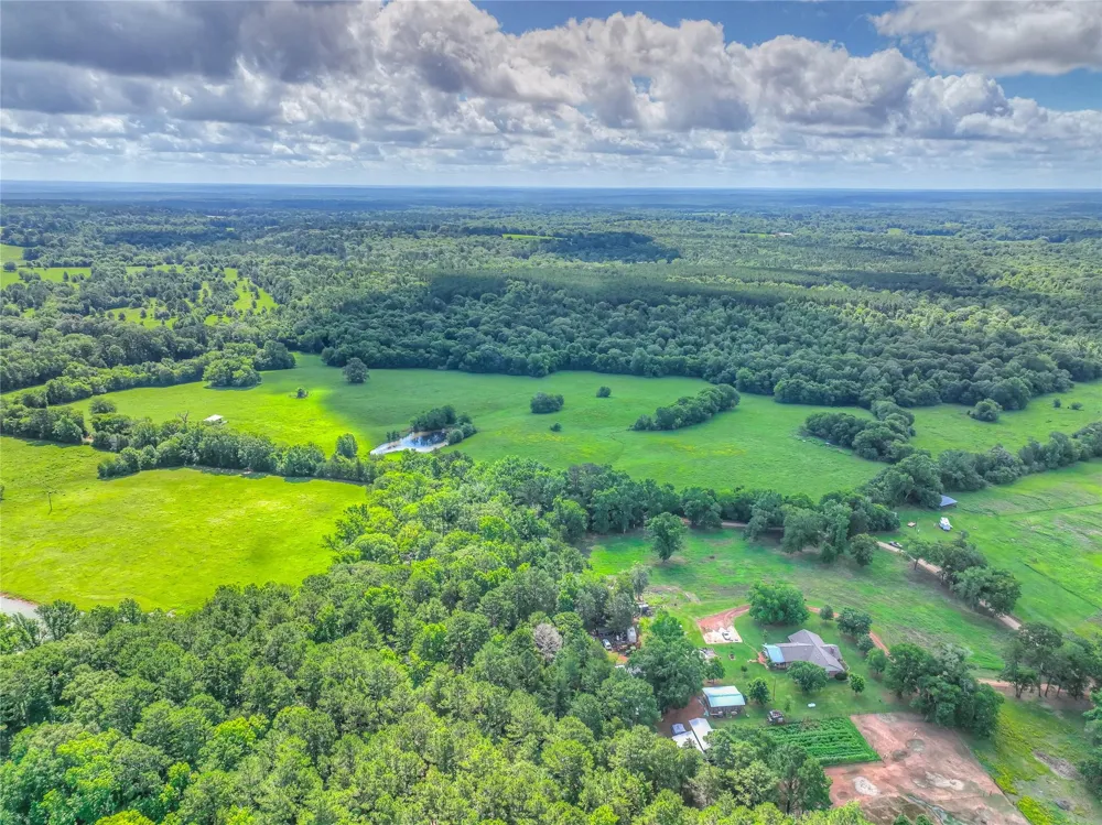 County Road 1750 Grapeland, TX 75844