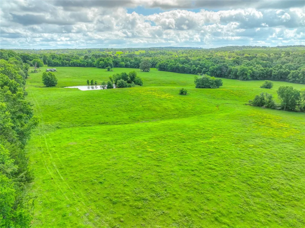 County Road 1750 Grapeland, TX 75844