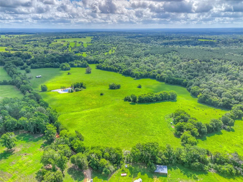 County Road 1750 Grapeland, TX 75844