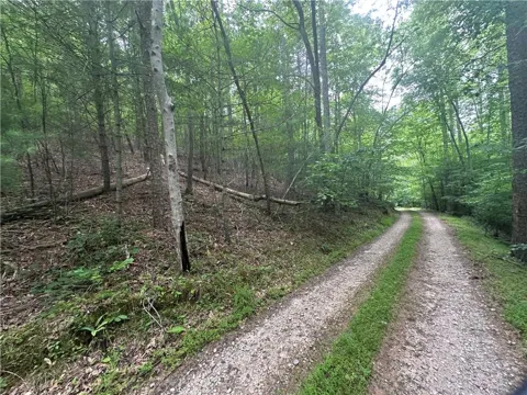TRACT1 New Bethel Ch Road