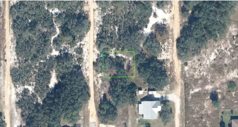 2954 NEPERA ROAD Avon Park, FL 33825