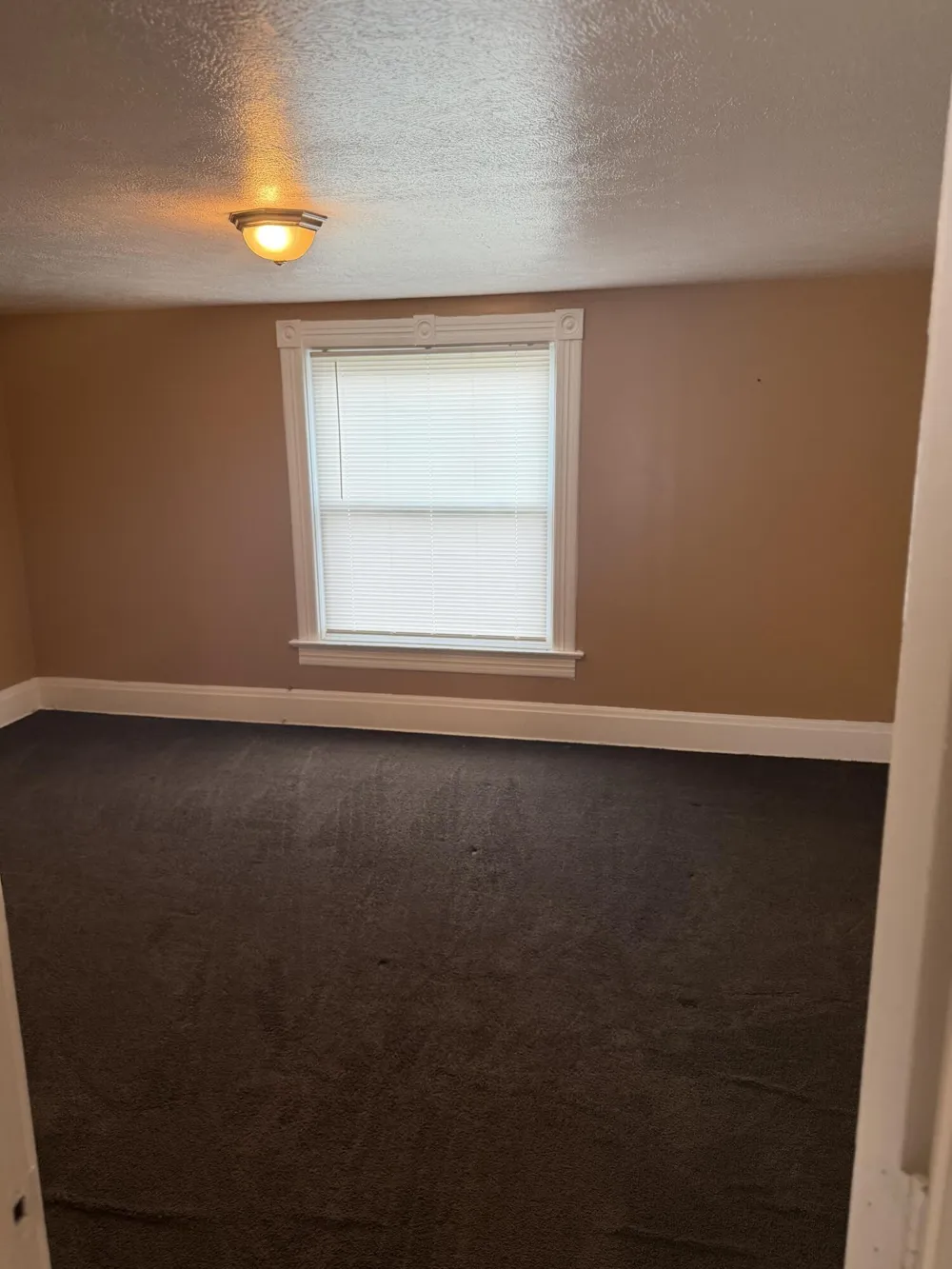 905 Burr Oak Street Albion, MI 49224