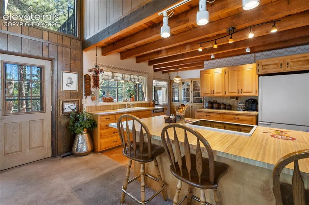 303 Ute Trail Woodland Park, CO 80863