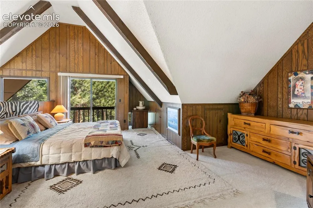 303 Ute Trail Woodland Park, CO 80863