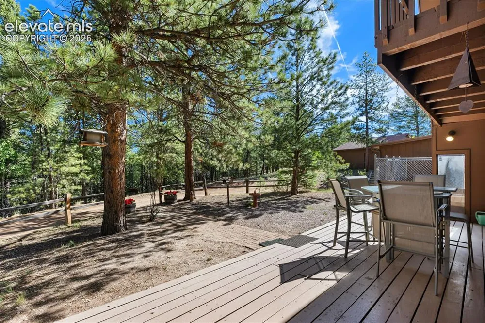 303 Ute Trail Woodland Park, CO 80863