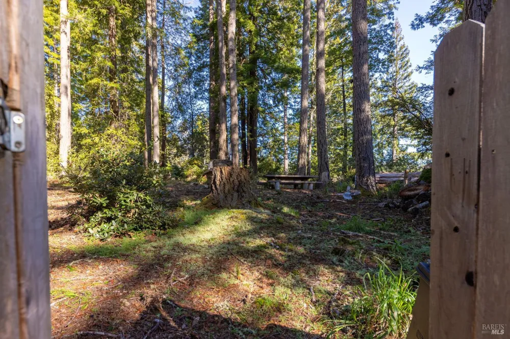 22000 Timber Cove Road Jenner, CA 95450