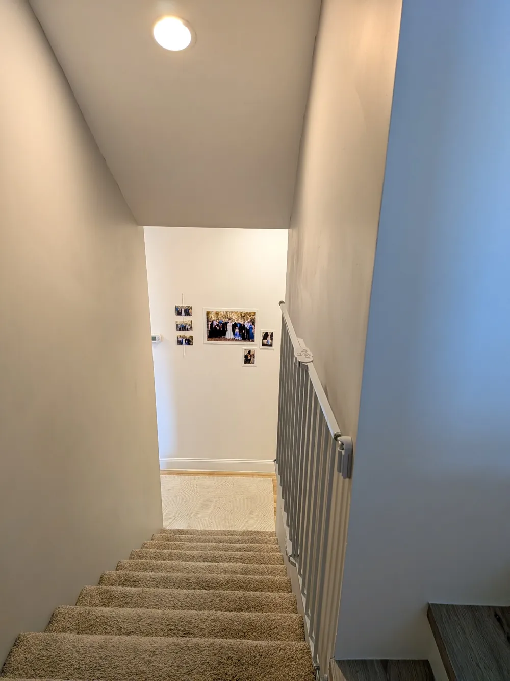 221 Jason Patrick Dr Whitwell, TN 37397