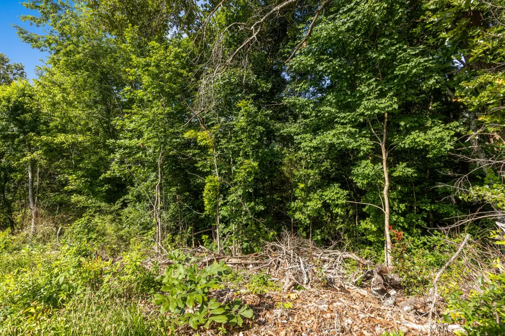 9400 Somerset Drive Ooltewah, TN 37363