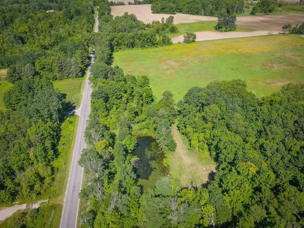 131 E Hazel Road Hart, MI 49420
