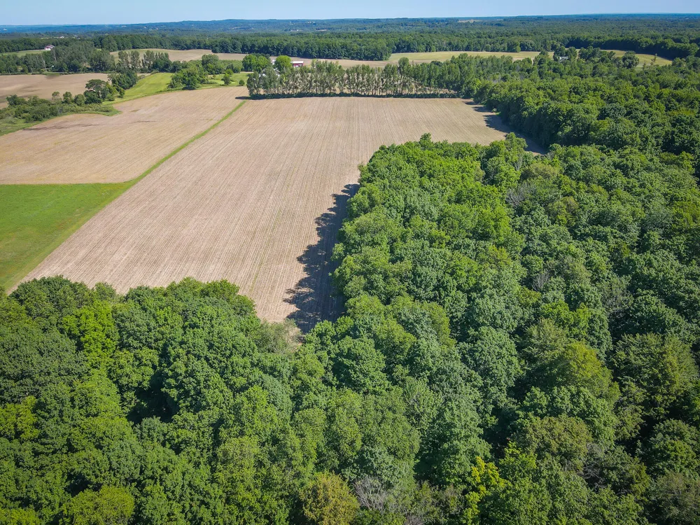 131 E Hazel Road Hart, MI 49420
