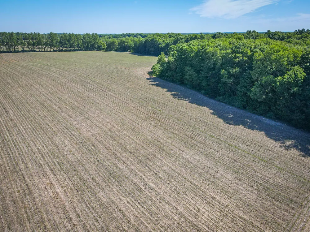 131 E Hazel Road Hart, MI 49420