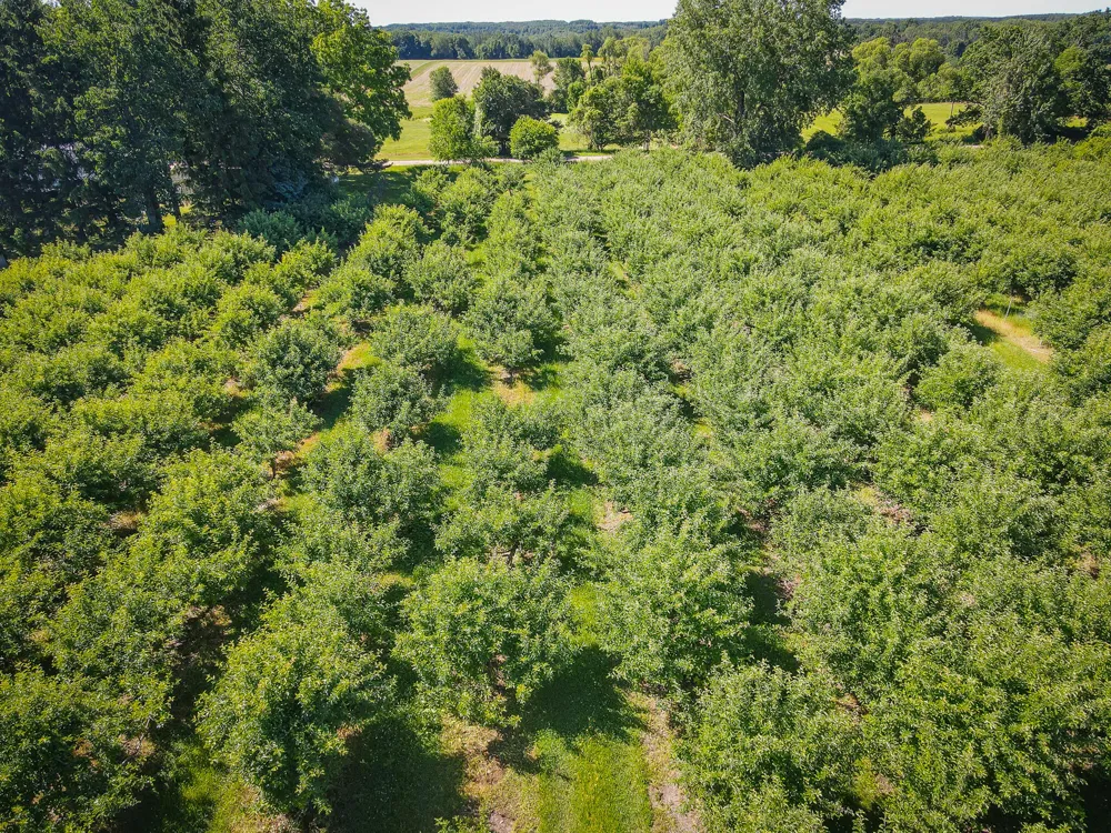 131 E Hazel Road Hart, MI 49420