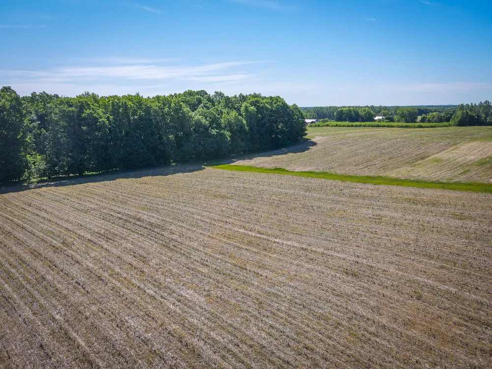 131 E Hazel Road Hart, MI 49420