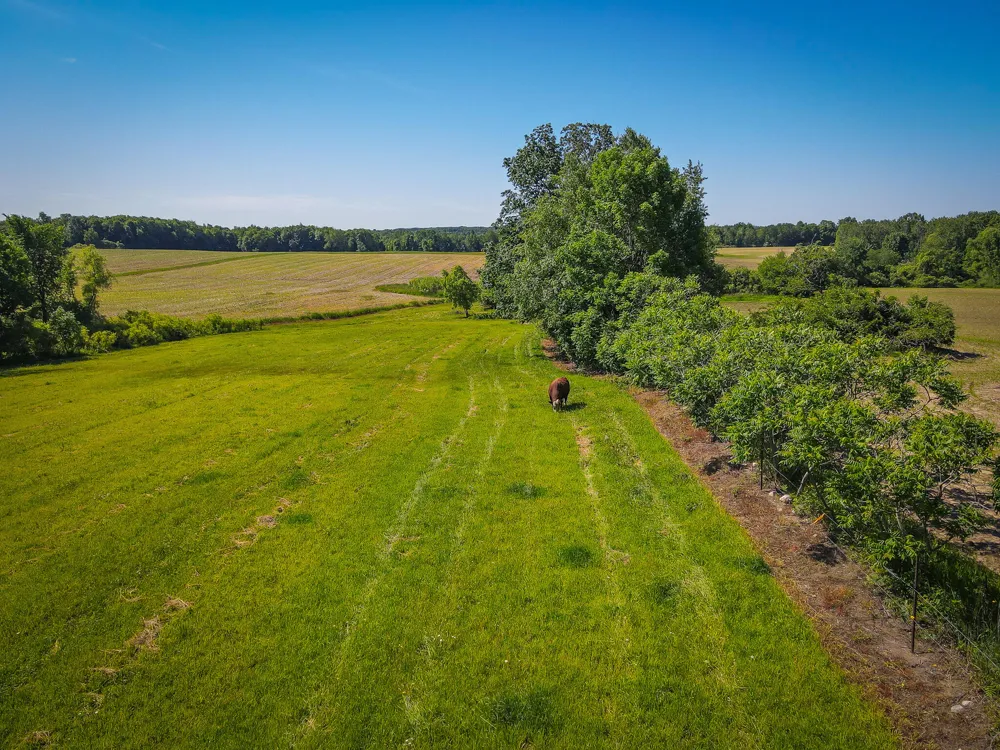 131 E Hazel Road Hart, MI 49420