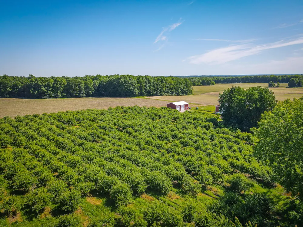 131 E Hazel Road Hart, MI 49420