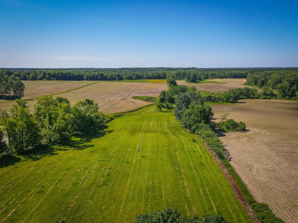131 E Hazel Road Hart, MI 49420