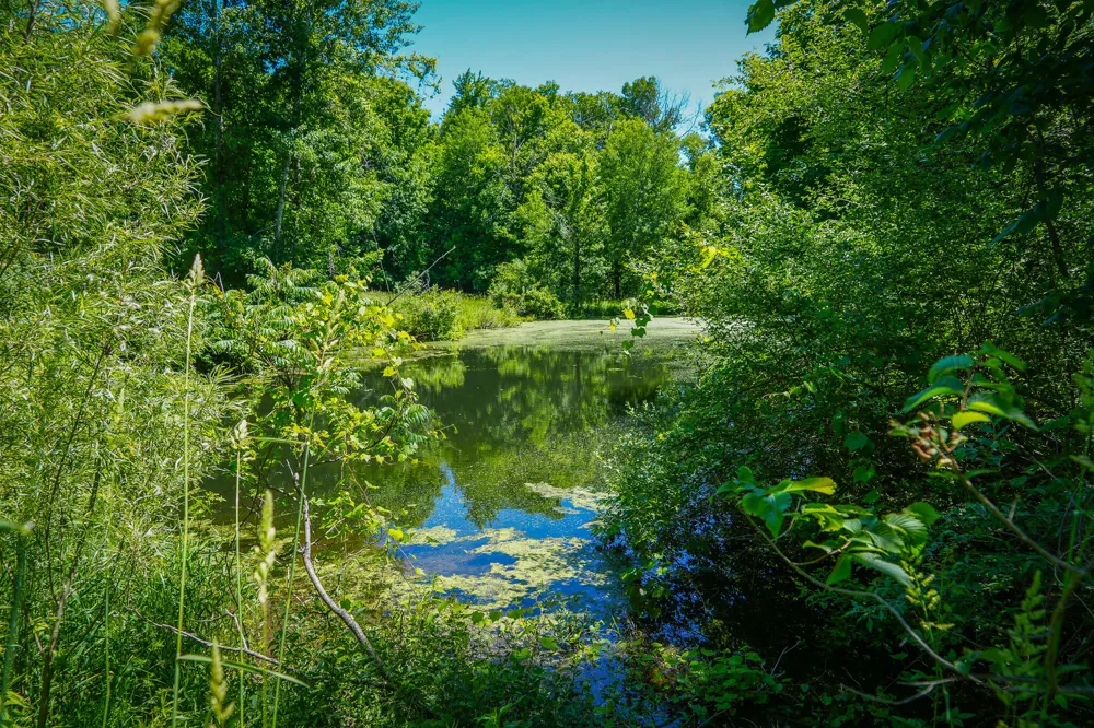 131 E Hazel Road Hart, MI 49420