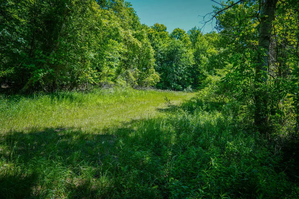 131 E Hazel Road Hart, MI 49420