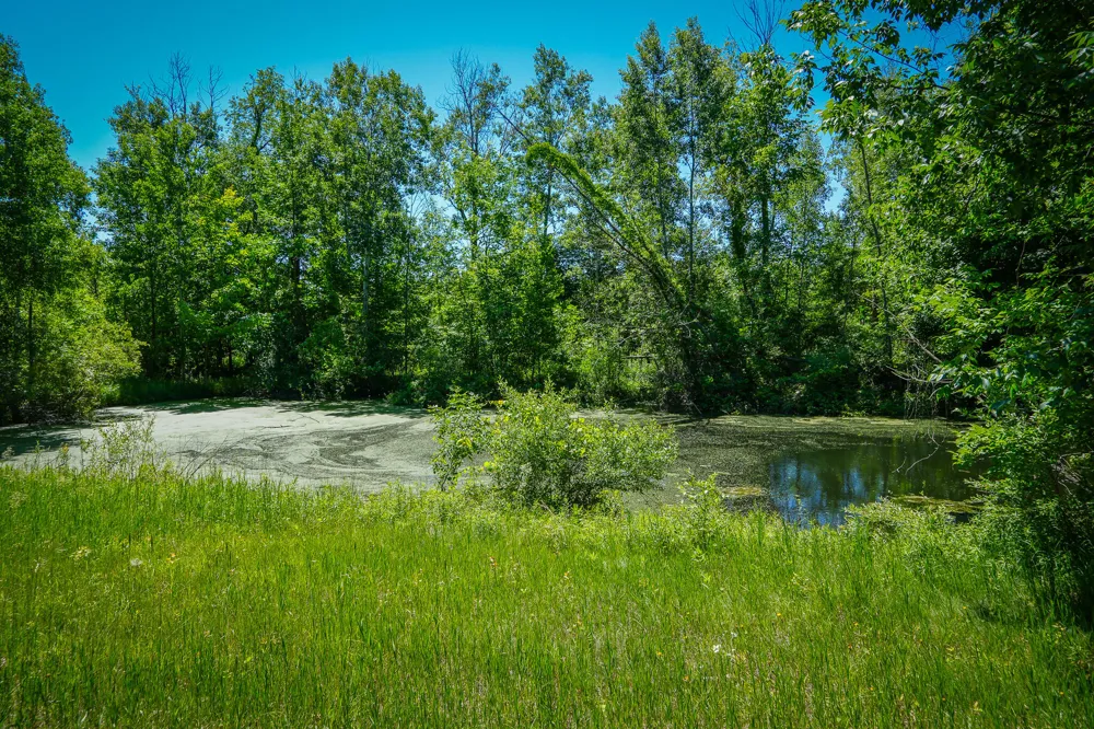 131 E Hazel Road Hart, MI 49420