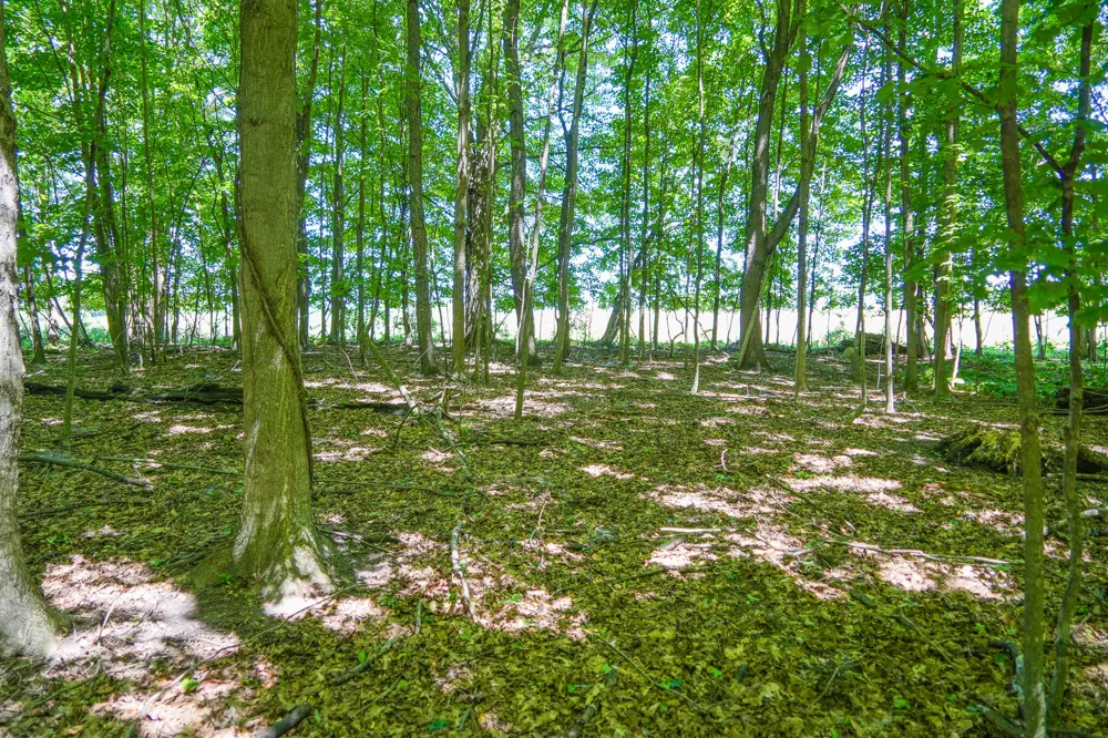 131 E Hazel Road Hart, MI 49420