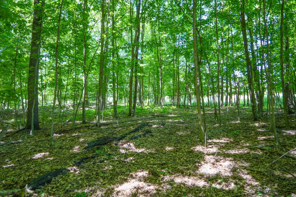 131 E Hazel Road Hart, MI 49420