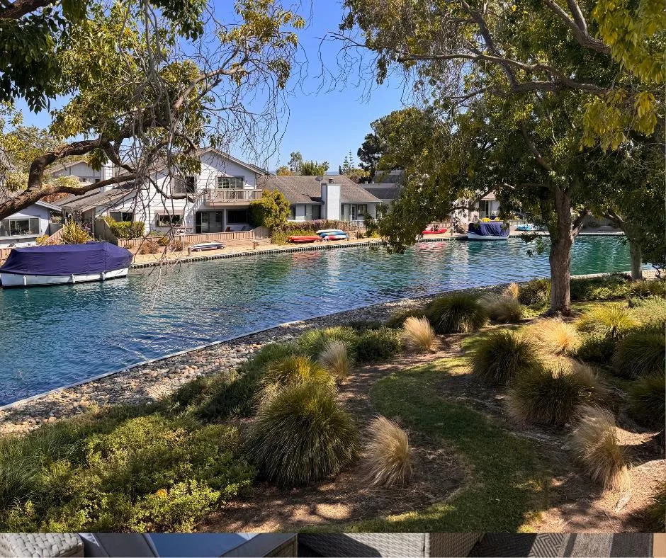 816 Balboa Lane Foster City, CA 94404