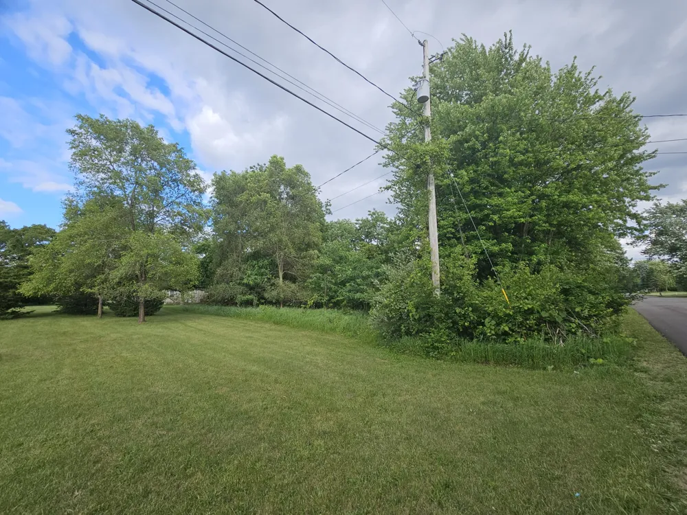 Carlysle Drive Brooklyn, MI 49230