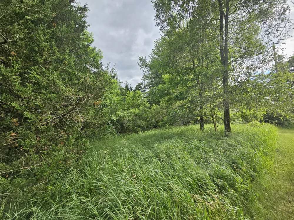 Carlysle Drive Brooklyn, MI 49230
