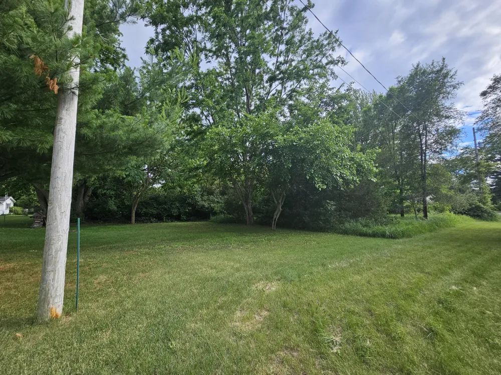 Carlysle Drive Brooklyn, MI 49230