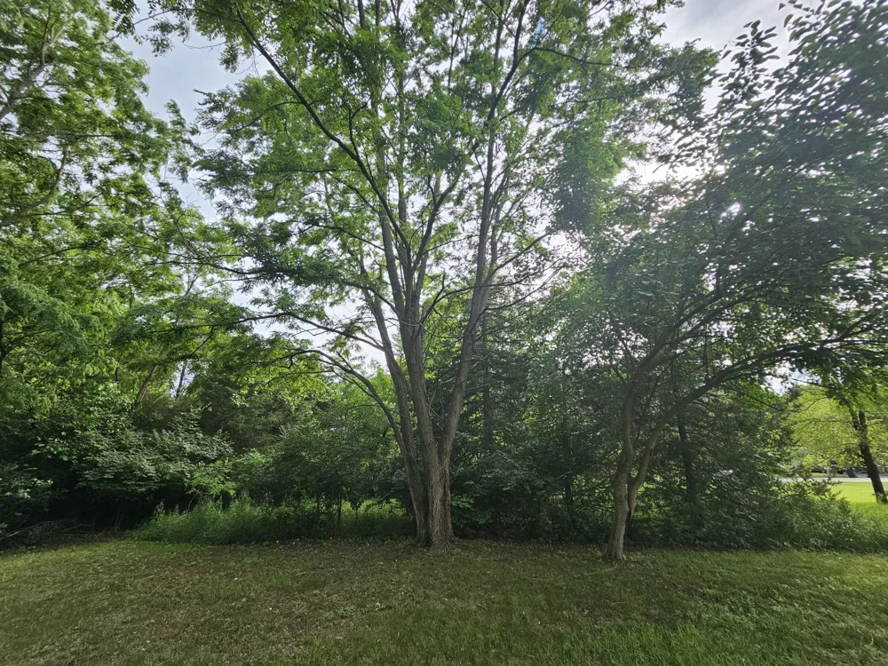 Carlysle Drive Brooklyn, MI 49230
