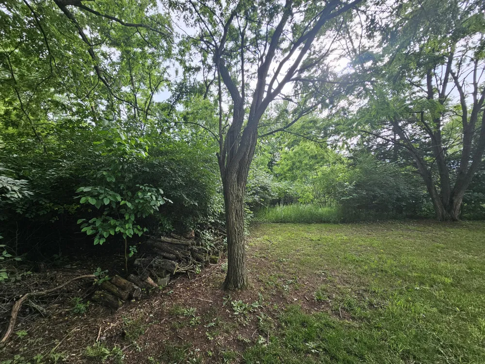 Carlysle Drive Brooklyn, MI 49230