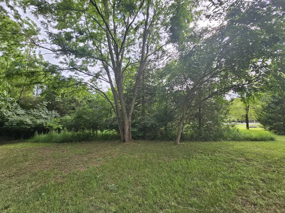 Carlysle Drive Brooklyn, MI 49230