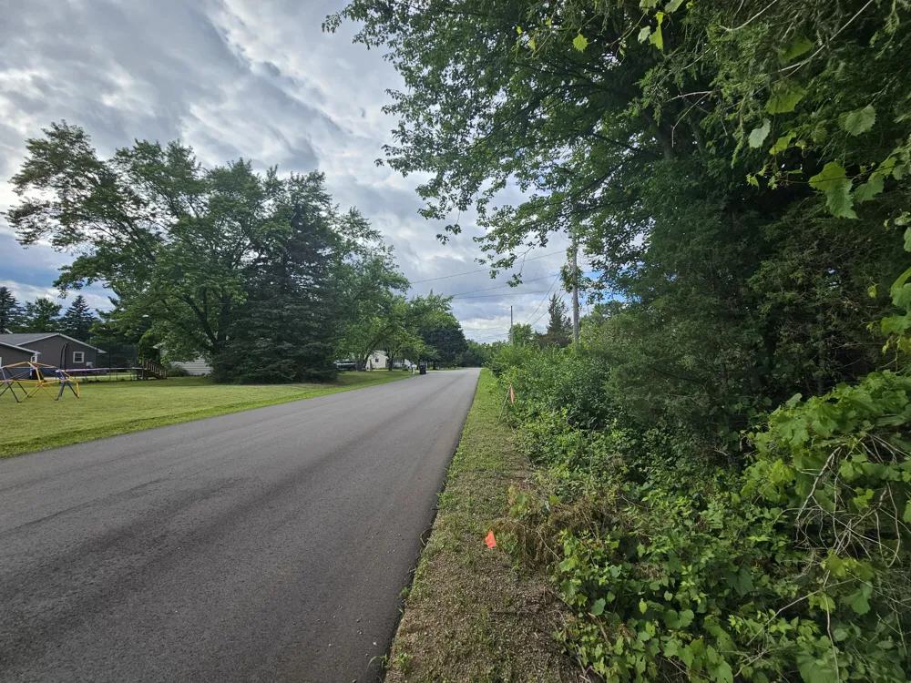 Carlysle Drive Brooklyn, MI 49230