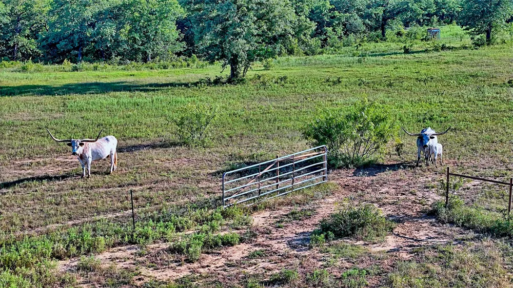 7912 Fm 1956 Nocona, TX 76255