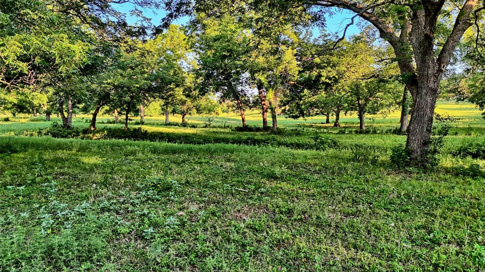 7912 Fm 1956 Nocona, TX 76255