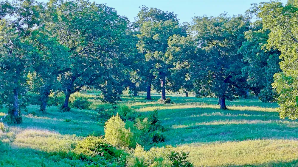 7912 Fm 1956 Nocona, TX 76255