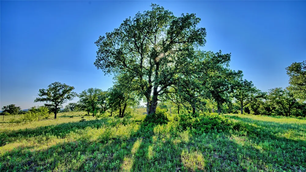 7912 Fm 1956 Nocona, TX 76255